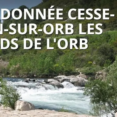 Les Pieds Dans L'orb